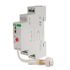 F&F Filipowski hämarlüliti 16 A 230 V DIN-liistule IP40/IP20 цена и информация | Выключатели, розетки | kaup24.ee