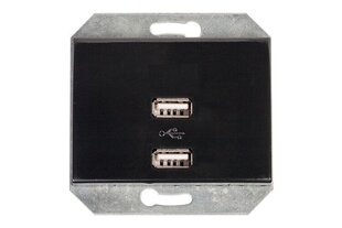 Розетка Vilma с 2xUSB DC 5В 3,4A, углубляемая, без рамки, чёрно-металлического цвета цена и информация | Выключатели, розетки | kaup24.ee