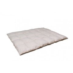 Одеяло Exclusive с наполнителем из гусиного пуха и перьев цена и информация | Одеяла | kaup24.ee