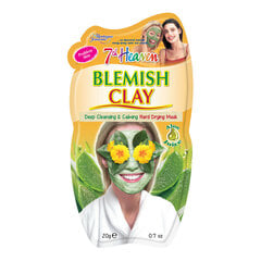 Näomask naha puuduste vastu võitlemiseks 7th Heaven Blemish Clay, 20 g цена и информация | Маски для лица, патчи для глаз | kaup24.ee