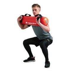 Veega täidetud raskuskott inSPORTline FitBag Aqua-L (kuni 36 kg) цена и информация | Гантели, гири, штанги | kaup24.ee