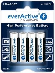 everActive EVLR20-PRO (2) цена и информация | Батарейки | kaup24.ee