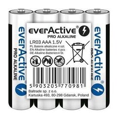 everActive LR03PRO4T цена и информация | Аккумуляторы | kaup24.ee