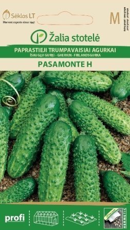 Harilik lühiviljaline kurk Pasamonte H цена и информация | Köögivilja-, marjaseemned | kaup24.ee