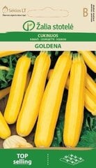 Кабачки Goldena, 2 г цена и информация | Семена овощей, ягод | kaup24.ee