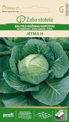 Valge kapsas Jetma H цена и информация | Семена овощей, ягод | kaup24.ee