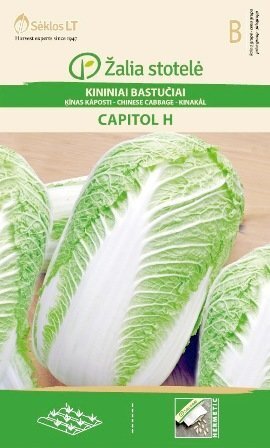 Hiina kapsas Capitol H hind ja info | Köögivilja-, marjaseemned | kaup24.ee