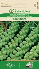 Brüsseli kapsas Groninger hind ja info | Köögivilja-, marjaseemned | kaup24.ee
