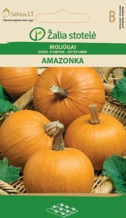 Kõrvits Amazonka цена и информация | Köögivilja-, marjaseemned | kaup24.ee