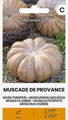 Muskaatkõrvits Muscade De Provence цена и информация | Семена овощей, ягод | kaup24.ee