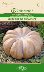 Muskaatkõrvits Muscade De Provence цена и информация | Семена овощей, ягод | kaup24.ee