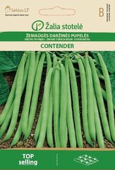 Кустовая фасоль CONTENDER, 20 г цена и информация | Семена овощей, ягод | kaup24.ee