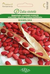 Карликовая французская фасоль WAWELSKA, 15 г цена и информация | Семена овощей, ягод | kaup24.ee