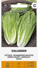 Салат GALANDER цена и информация | Семена овощей, ягод | kaup24.ee
