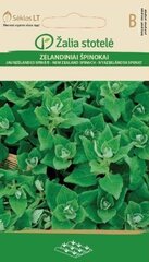 Uus-Meremaa spinat цена и информация | Семена овощей, ягод | kaup24.ee