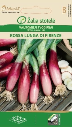 Sibul ROSSA LUNGA DI FIRENZE hind ja info | Köögivilja-, marjaseemned | kaup24.ee