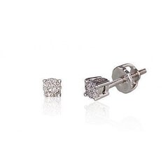 Kuldkõrvarõngad teemantitega Diamond Sky "Classic" hind ja info | Kõrvarõngad | kaup24.ee