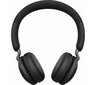 Jabra Elite 45h Titanium Black : 100-91800000-60 hind ja info | Kõrvaklapid | kaup24.ee