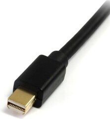 Mini DisplayPort-DisplayPort Kaabel Startech MDP2DPMM6 (1,8 m) Must цена и информация | Кабели и провода | kaup24.ee