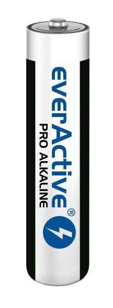 everActive LR0310PAK hind ja info | Akud videokaameratele | kaup24.ee