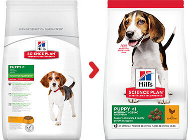 Hill's Science Plan Puppy Medium kuivtoit kutsikatele kanalihaga, 0.8 kg hind ja info | Kuivtoit koertele | kaup24.ee