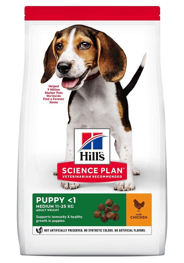 Hill's Science Plan Puppy Medium kuivtoit kutsikatele kanalihaga, 0.8 kg hind ja info | Kuivtoit koertele | kaup24.ee