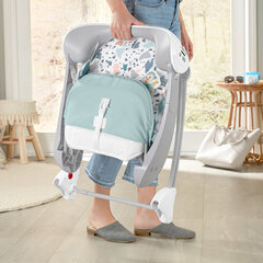 Lamamistool-kiik Fisher-Price® Deluxe Take-Along hind ja info | Beebi lamamistoolid | kaup24.ee