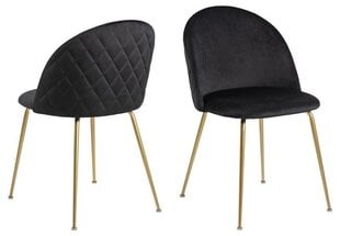 Комплект из 4-х стульев Louise, черный/золотой цена и информация | Стулья для кухни и столовой | kaup24.ee