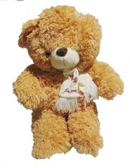 Karu salliga 60cm 10057 hind ja info | Tüdrukute mänguasjad | kaup24.ee