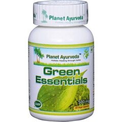 Ежедневная порция зелени, Green EssentialsPlanet Ayurveda™, 60 капсул цена и информация | Витамины, пищевые добавки, препараты для хорошего самочувствия | kaup24.ee