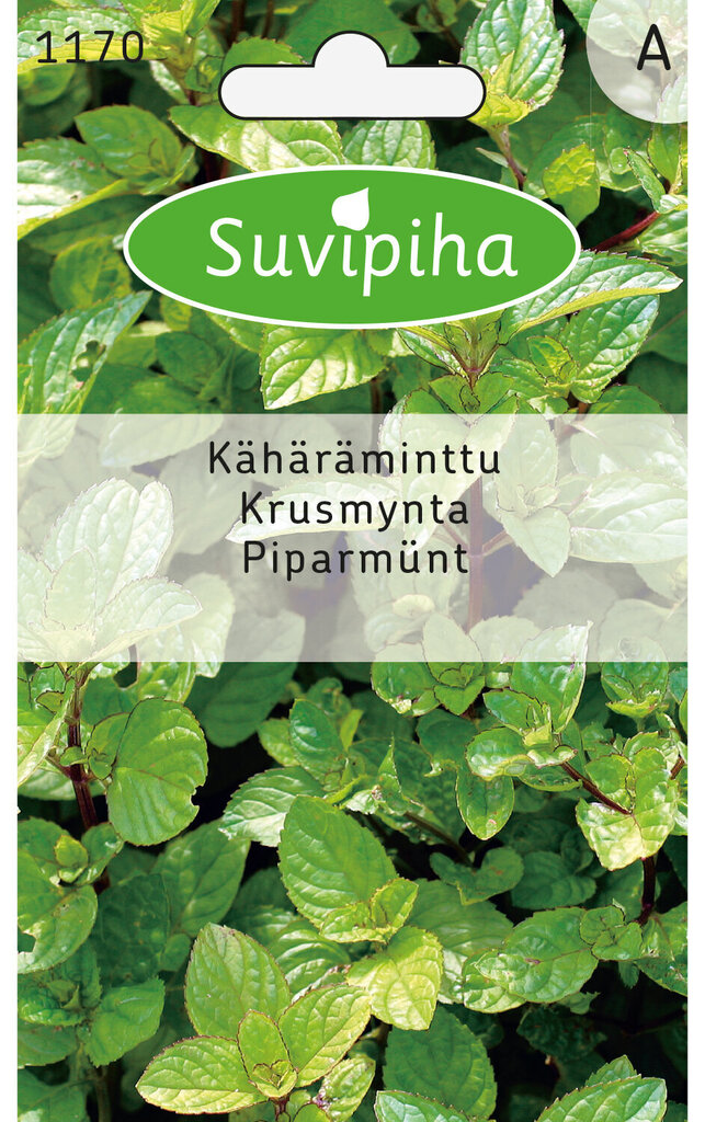 Piparmünt ASEJA, 0,1g, 11700( 4 ) цена и информация | Maitsetaimede seemned | kaup24.ee