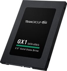 Team Group T253X1120G0C101 цена и информация | Внутренние жёсткие диски (HDD, SSD, Hybrid) | kaup24.ee