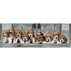 Пазл Clementoni Panorama High Quality Beagles 1000 д. цена и информация | Пазлы | kaup24.ee