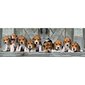 Pusle Clementoni Panorama High Quality Beagles, 1000- osaline цена и информация | Pusled | kaup24.ee