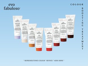 Кондиционер для поддержки цвета волос EVO Cool Brown Fabuloso 220 мл цена и информация | Бальзамы, кондиционеры | kaup24.ee