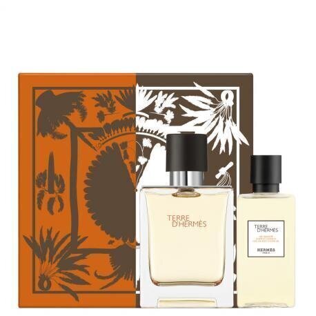 Komplekt meestele Hermes Terre D'Hermes: EDT meestele 50 ml + dušigeel 40 ml hind ja info | Meeste parfüümid | kaup24.ee