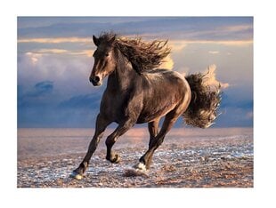 Pusle Clementoni High Quality Wild Horse 1000 osa hind ja info | Pusled | kaup24.ee