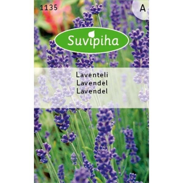 Lavendel, ASEJA, 0,4g, 11350( 4 ) hind ja info | Maitsetaimede seemned | kaup24.ee