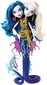 Monster High Suur õuduste riif Peri ja Pearl Serpentine nukk hind ja info | Tüdrukute mänguasjad | kaup24.ee