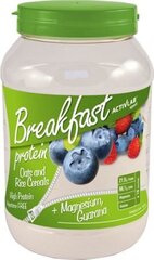 Toidulisand ActivLab Protein Breakfast, Forest Berries Flavor, 1000 g hind ja info | Muud toidulisandid ja preparaadid | kaup24.ee