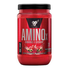 Toidulisand BSN Amino X, Fruit Punch Flavor 435 g hind ja info | Aminohapped | kaup24.ee