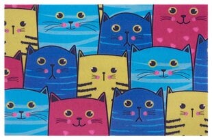 3D uksematt Cat 45x70 cm hind ja info | Uksematid | kaup24.ee