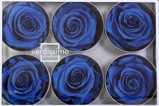 Стабилизированные Standard розы 6 шт., темно-синие цена и информация | Спящие стабилизированные розы, растения | kaup24.ee