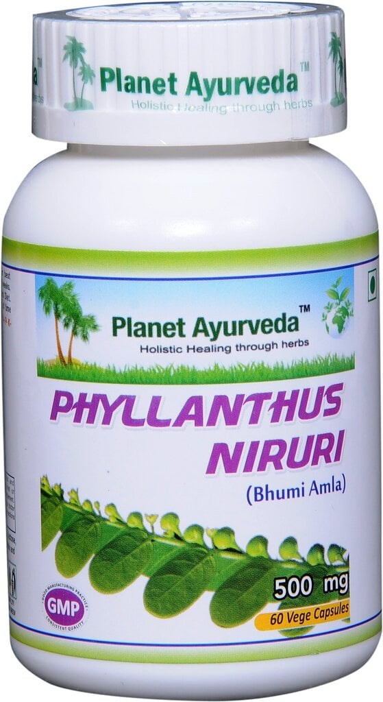 Toidulisand Phyllanthus Niruri Planet Ayurveda, 60 kapslit hind ja info | Vitamiinid, toidulisandid, preparaadid tervise heaoluks | kaup24.ee