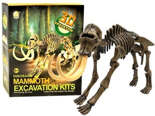 Arheoloogi komplekt - Mammut Excavation Kits hind ja info | Arendavad mänguasjad | kaup24.ee