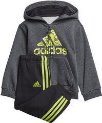 Adidas Cпортивные костюмы  Logo Fz Hd Fl Black Grey цена и информация | Комплекты для мальчиков | kaup24.ee