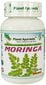 Toidulisand Moringa BIO, Planet Ayurveda™, 60 kapslit hind ja info | Vitamiinid, toidulisandid, preparaadid tervise heaoluks | kaup24.ee