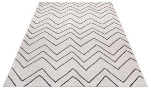 Vaip Zig Zag White/Black 160x230 cm hind ja info | Vaibad | kaup24.ee