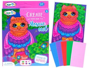 Красочная мозаика-Сова Color Day цена и информация | Развивающие игрушки и игры | kaup24.ee