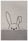 Lastetoa vaip Bunny 80x150 cm hind ja info | Vaibad | kaup24.ee